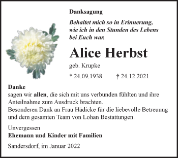 Traueranzeige von Alice Herbst von Trauerkombi Bitterfeld