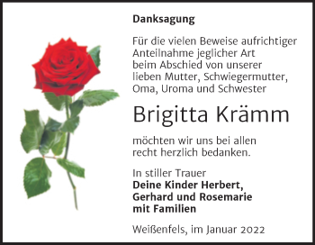 Traueranzeige von Brigitta Krämm von Trauerkombi Weißenfels