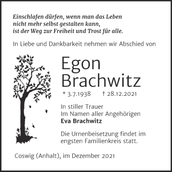 Traueranzeige von Egon Brachwitz von Trauerkombi Wittenberg