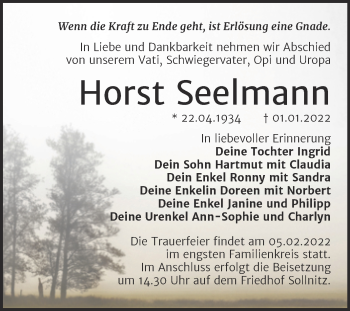 Traueranzeige von Horst Seelmann von Trauerkombi Dessau