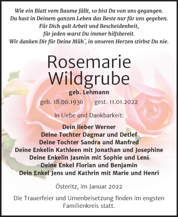 Traueranzeige von Rosemarie Wildgrube von Trauerkombi Wittenberg