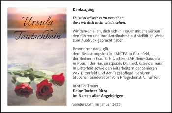 Traueranzeige von Ursula Teutschbein von Trauerkombi Bitterfeld