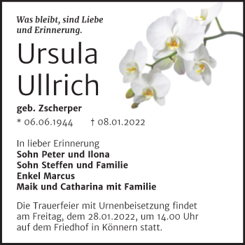 Traueranzeige von Ursula Ullrich von Trauerkombi Bernburg