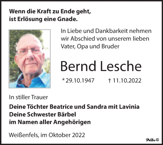 Traueranzeige von Bernd Lesche von Trauerkombi Weißenfels