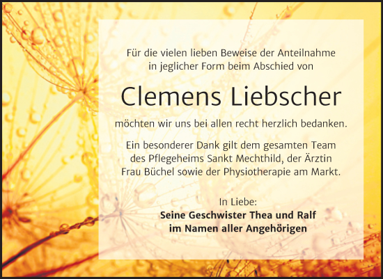 Traueranzeige von Clemens Liebscher von Trauerkombi Mansfelder Land