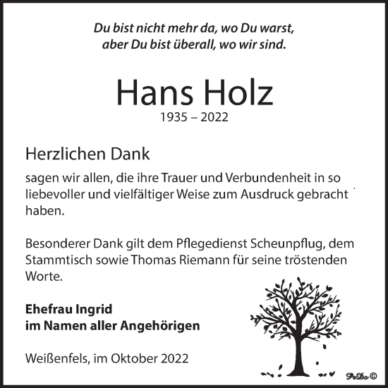 Traueranzeige von Hans Holz von Trauerkombi Weißenfels