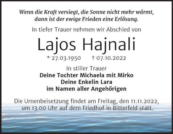 Traueranzeige von Lajos Hajnali von Trauerkombi Bitterfeld