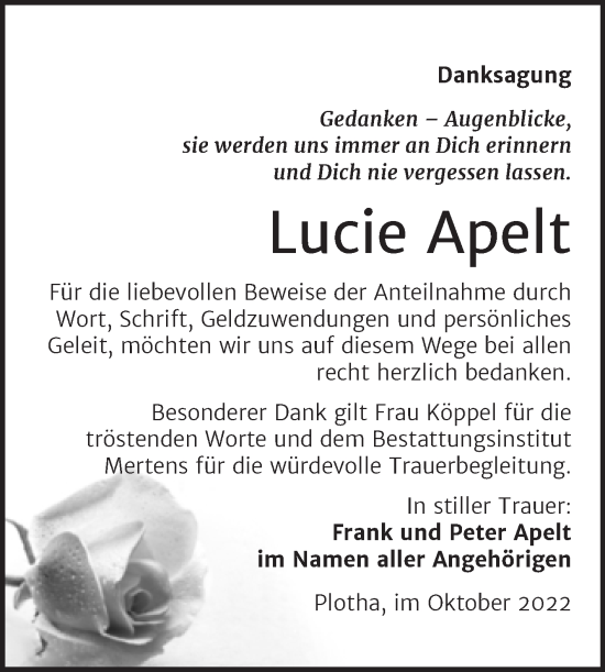 Traueranzeige von Lucie Apelt von Trauerkombi Weißenfels