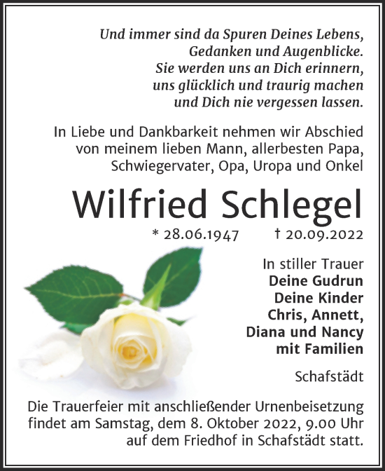 Traueranzeige von Wilfried Schlegel von Trauerkombi Merseburg