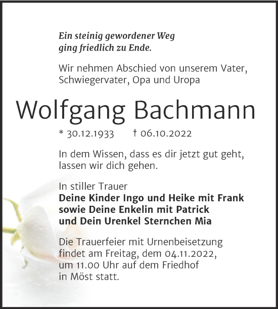 Traueranzeige von Wolfgang Bachmann von Trauerkombi Bitterfeld