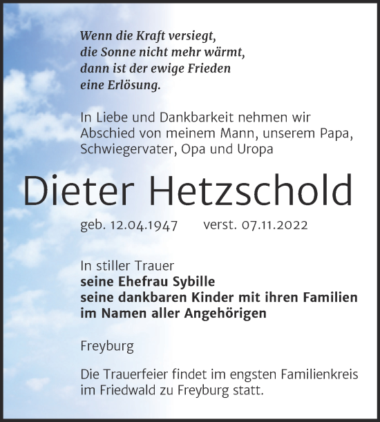 Traueranzeige von Dieter Hetzschold von Wochenspiegel Naumburg/Nebra