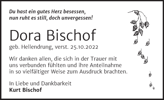 Traueranzeige von Dora Bischof von Naumburger Tageblatt
