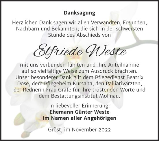 Traueranzeige von Elfriede Weste von Trauerkombi Merseburg