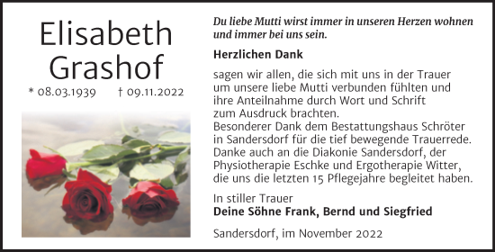 Traueranzeige von Elisabeth Grashof von Trauerkombi Bitterfeld