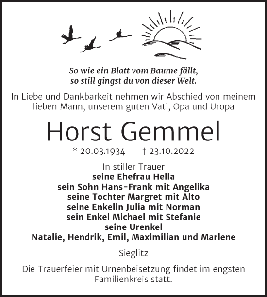 Traueranzeige von Horst Gemmel von Wochenspiegel Naumburg/Nebra