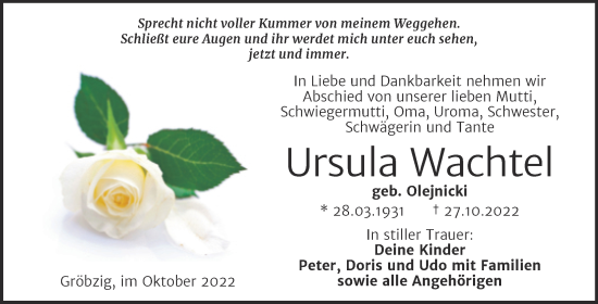 Traueranzeige von Ursula Wachtel von Trauerkombi Köthen