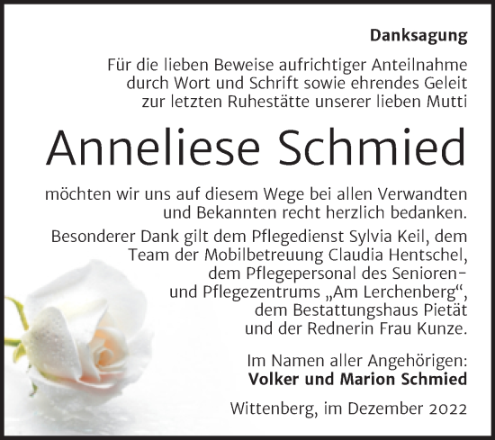 Traueranzeige von Anneliese Schmied von Trauerkombi Wittenberg