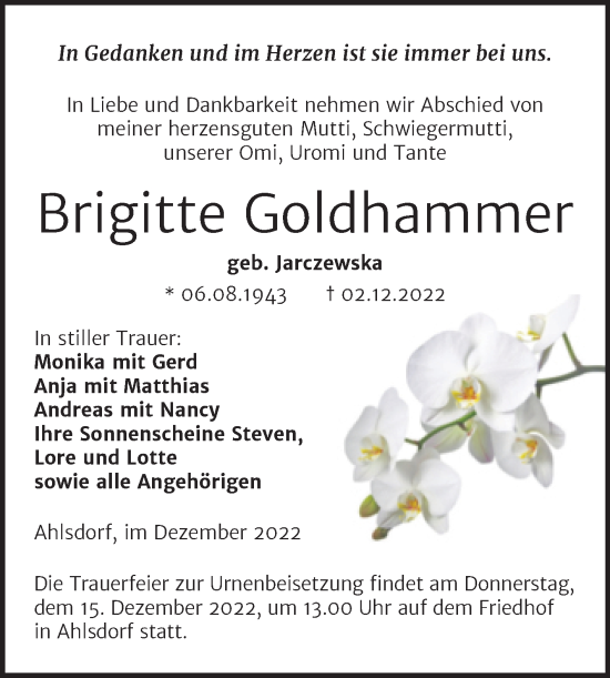 Traueranzeige von Brigitte Goldhammer von Trauerkombi Mansfelder Land
