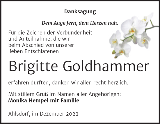 Traueranzeige von Brigitte Goldhammer von Trauerkombi Mansfelder Land
