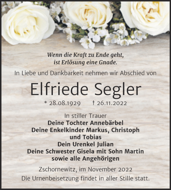 Traueranzeige von Elfriede Segler von Trauerkombi Wittenberg