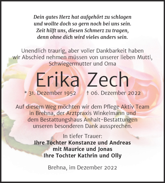 Traueranzeige von Erika Zech von Trauerkombi Bitterfeld