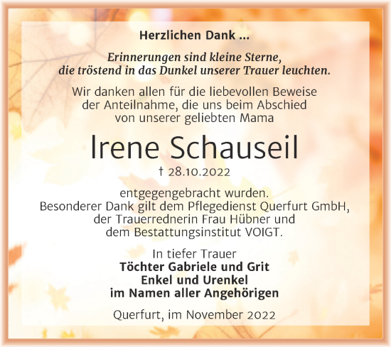 Traueranzeige von lrene Schauseil von Trauerkombi Merseburg