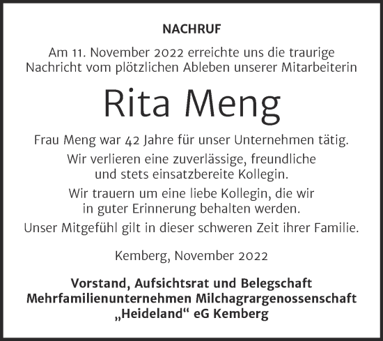 Traueranzeige von Rita Meng von Super Sonntag Wittenberg