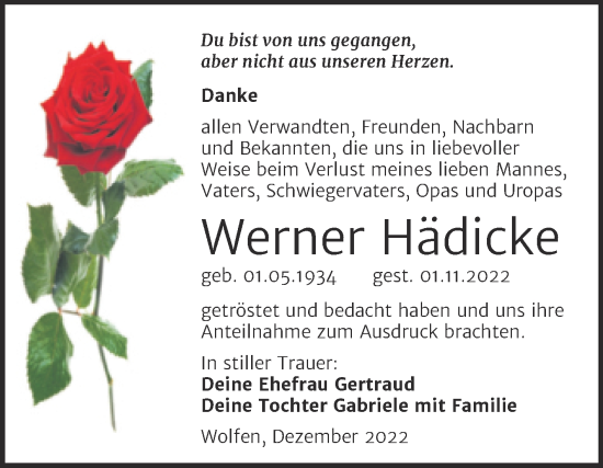 Traueranzeige von Werner Hädicke von Trauerkombi Bitterfeld