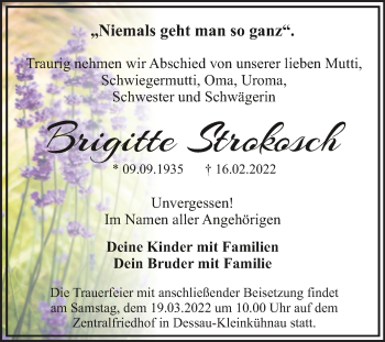 Traueranzeige von Brigitte Strokosch von Trauerkombi Dessau