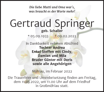 Traueranzeige von Gertraud Springer von Trauerkombi Wittenberg