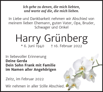 Traueranzeige von Harry Grünberg von Trauerkombi Zeitz