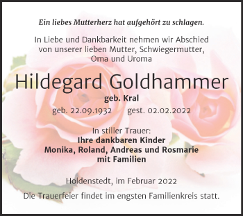 Traueranzeige von Hildegard Goldhammer von Trauerkombi Sangerhausen