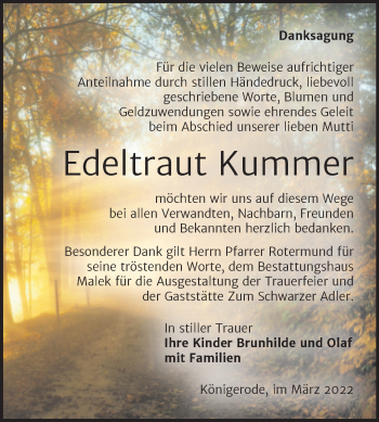 Traueranzeige von Edeltraut Kummer von Trauerkombi Quedlinburg