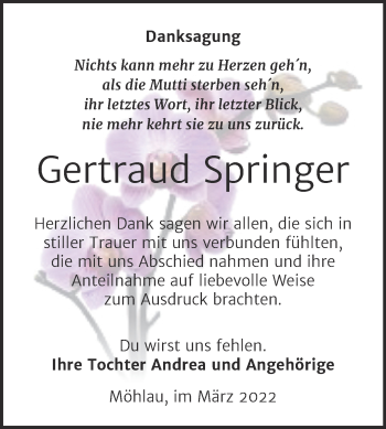 Traueranzeige von Gertraud Springer von Trauerkombi Wittenberg