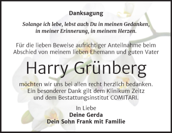 Traueranzeige von Harry Grünberg von Trauerkombi Zeitz
