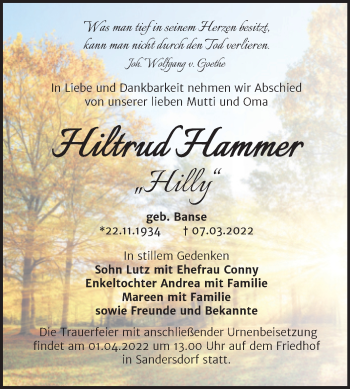 Traueranzeige von Hiltrud Hammer von Trauerkombi Bitterfeld