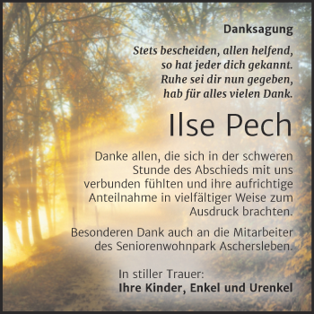 Traueranzeige von Ilse Pech von Trauerkombi Aschersleben