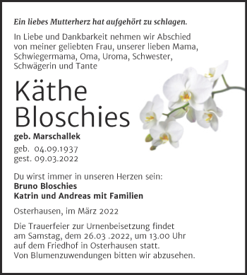 Traueranzeige von Käthe Bloschies von Trauerkombi Mansfelder Land