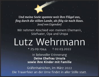 Traueranzeige von Lutz Wehrmann von Trauerkombi Wittenberg