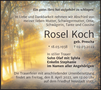 Traueranzeige von Rosel Koch von Mitteldeutsche Zeitung Halle/Saalkreis