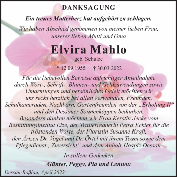 Traueranzeige von Elvira Mahlo von Trauerkombi Dessau