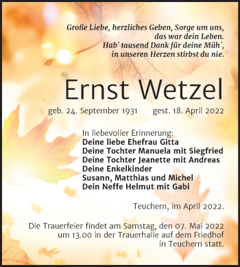 Traueranzeige von Ernst Wetzel von Trauerkombi Weißenfels