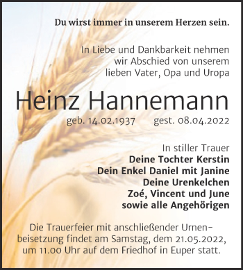 Traueranzeige von Heinz Hannemann von Trauerkombi Wittenberg