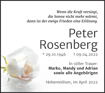 Traueranzeige von Peter Rosenberg von Trauerkombi Weißenfels