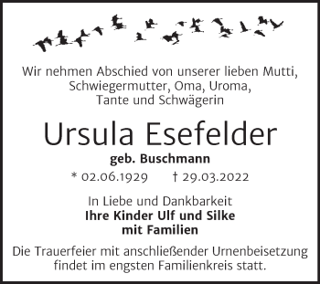 Traueranzeige von Ursula Esefelder von Mitteldeutsche Zeitung Halle/Saalkreis