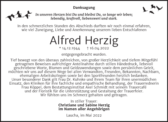 Traueranzeige von Alfred Herzig von Naumburger Tageblatt