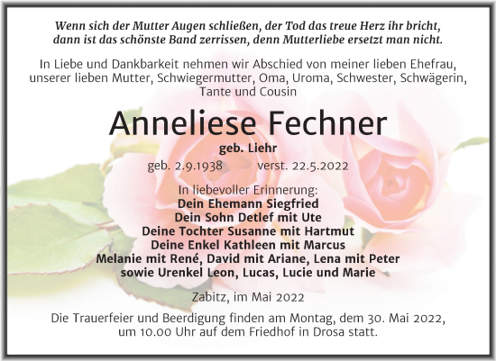 Traueranzeige von Anneliese Fechner von Trauerkombi Köthen