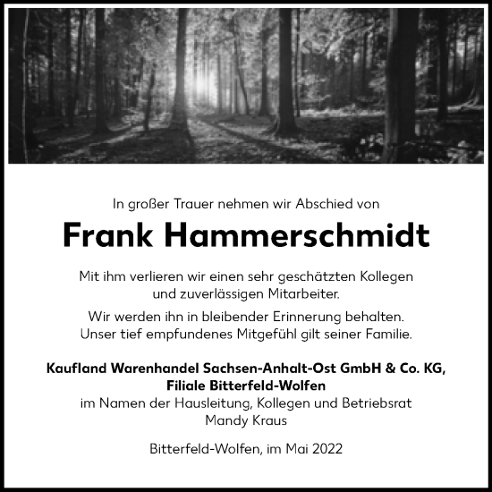 Traueranzeige von Frank Hammerschmidt von Mitteldeutsche Zeitung