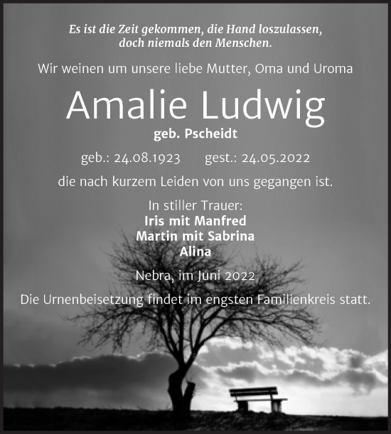 Traueranzeige von Amalie Ludwig von Wochenspiegel Naumburg/Nebra