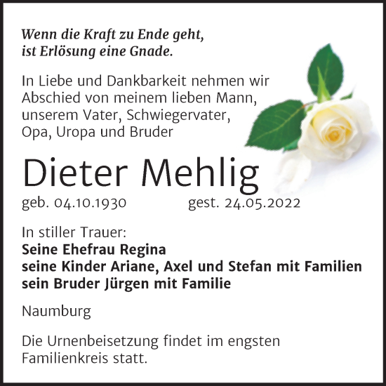 Traueranzeige von Dieter Mehlig von Wochenspiegel Naumburg/Nebra